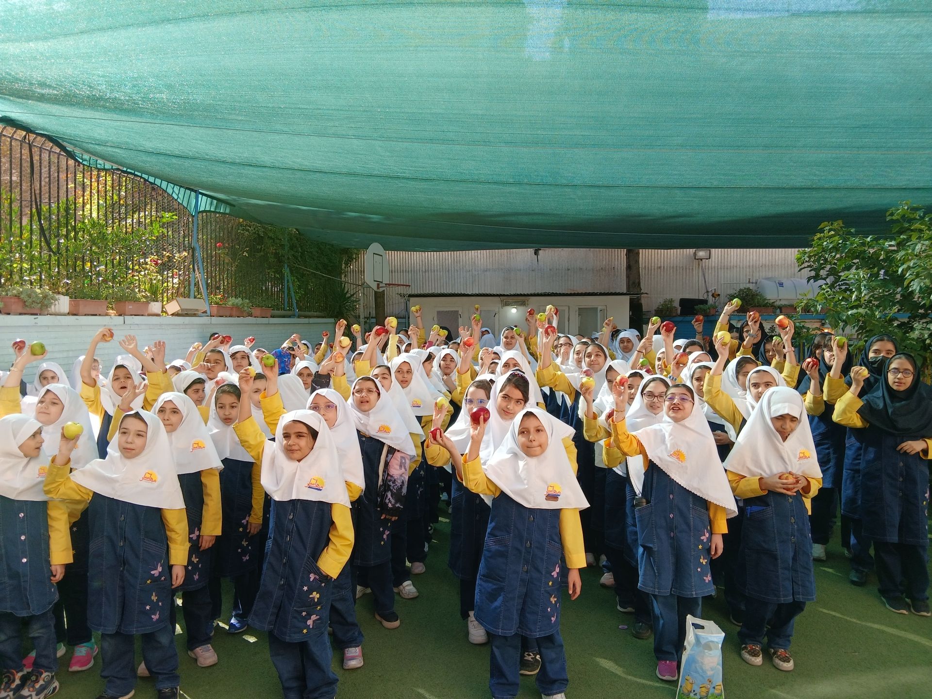 روز جهانی سیب